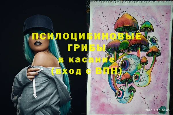 спиды Алексеевка