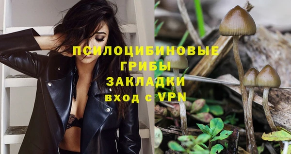 спиды Алексеевка
