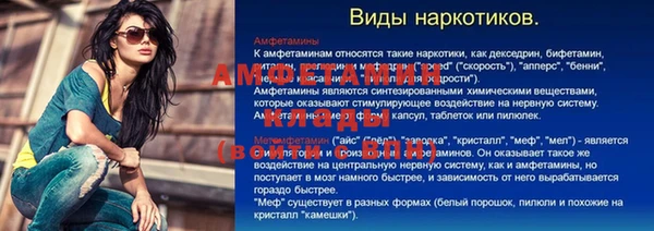 метадон Инта
