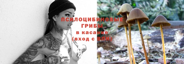 гидра Алзамай